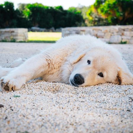 Masseria Pilano Crispiano ภายนอก รูปภาพ